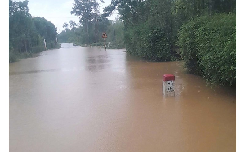 Nhận định may mắn giữ sạch lưới của Chelsea cùng Fulham - Cuộc chiến cưỡng vệ trong round derby London đầy hấp dẫn